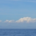 DSC_0047.jpg
