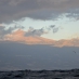 DSC_9382.jpg