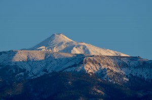 DSC_2312