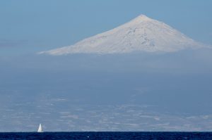 DSC_2340